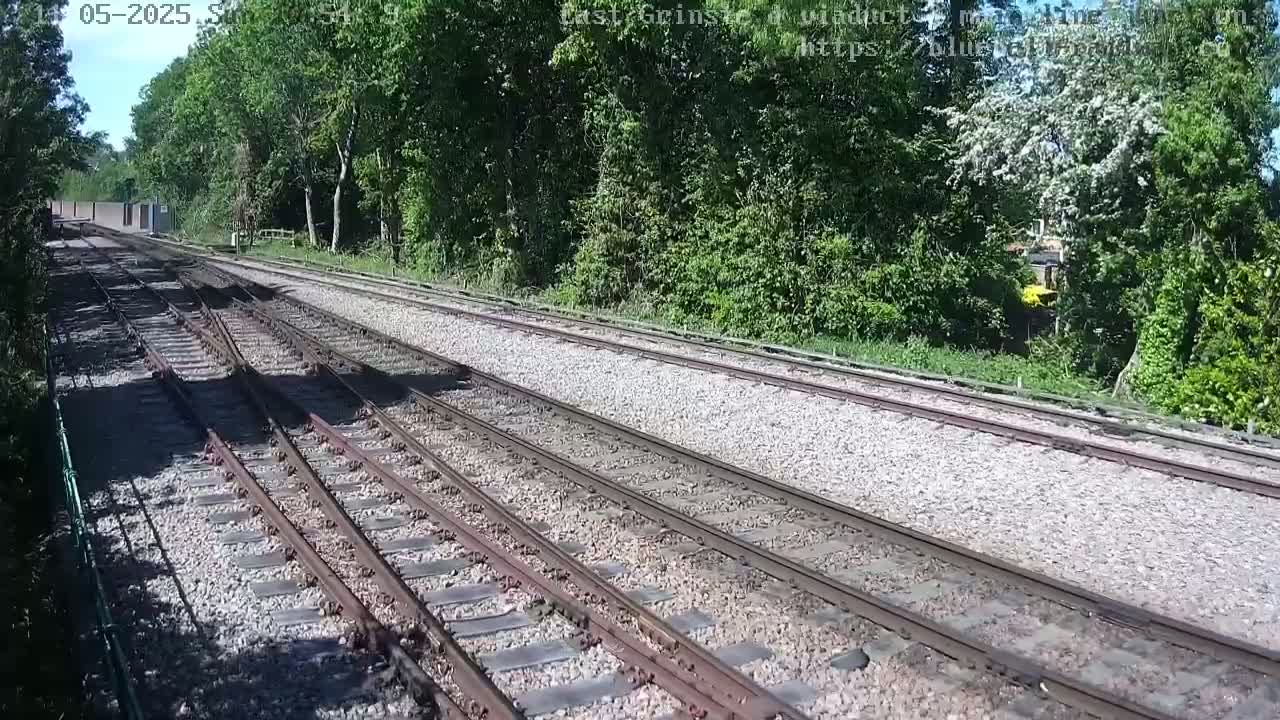 Multiple train tracks extend into a lush green wooded area on a sunny day.