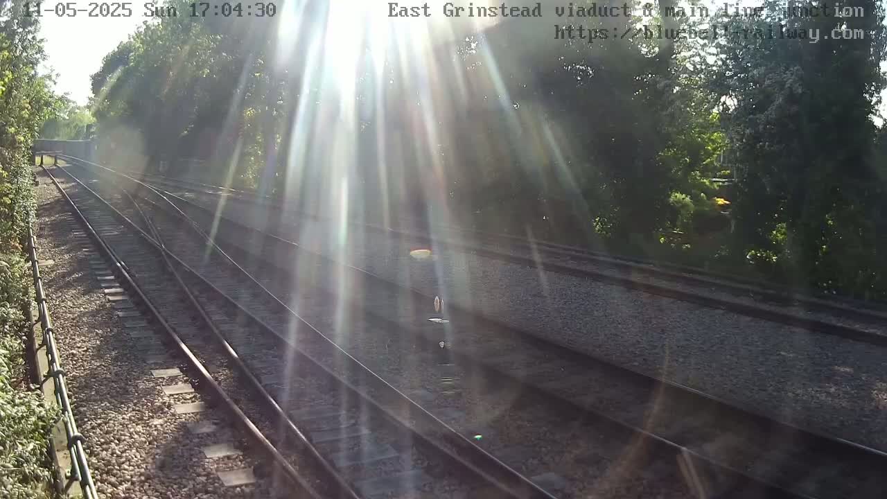 Converging train tracks are bathed in bright sunlight streaming through lush green trees.