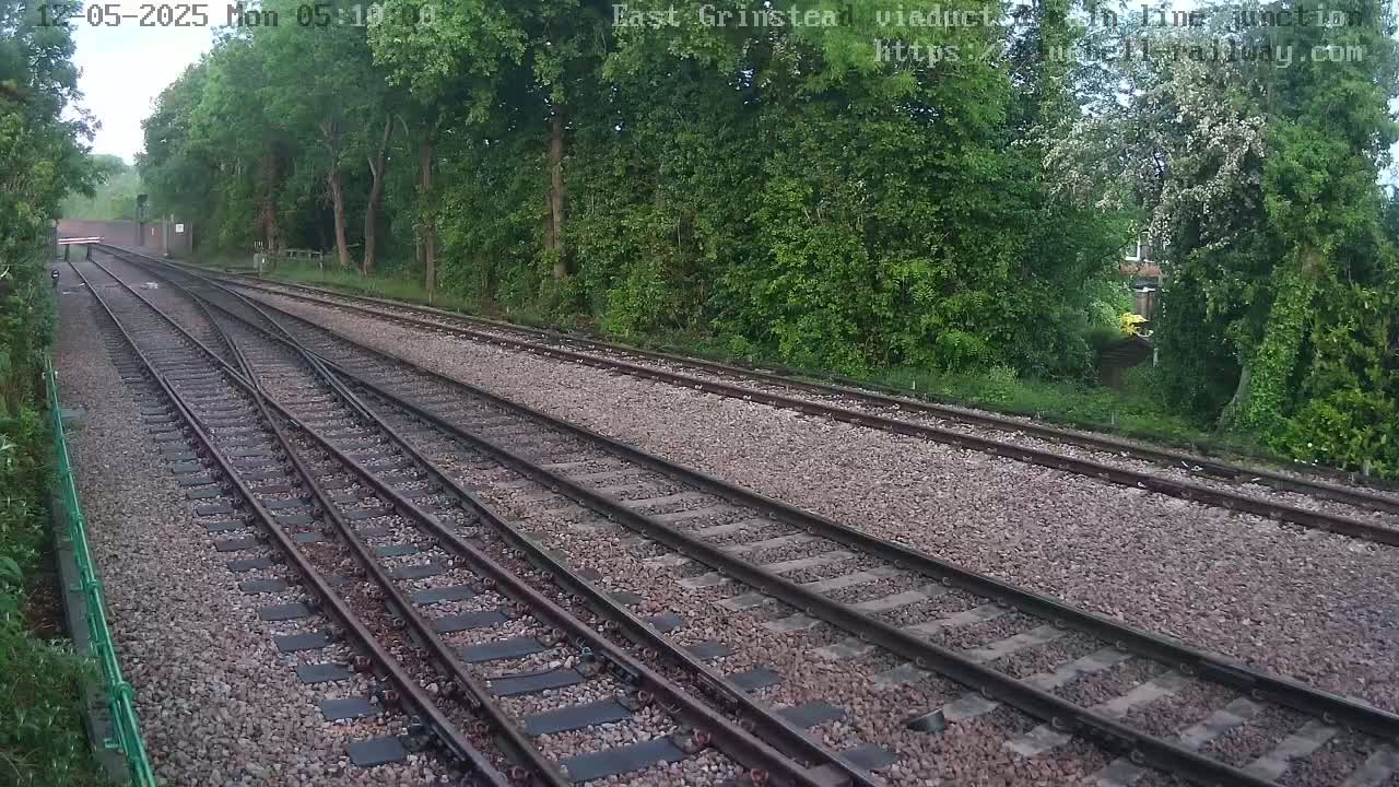 Converging railway tracks extend into a lush green landscape under an overcast sky.