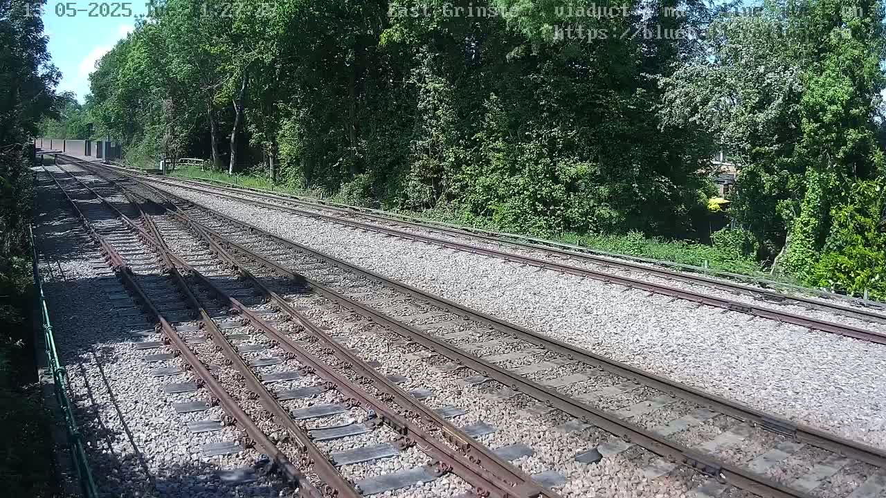 Multiple train tracks diverge through a sunny, wooded area.