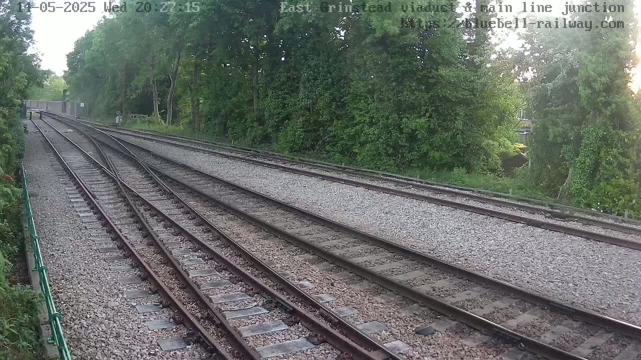 Several train tracks diverge through a wooded area on a partly cloudy day.