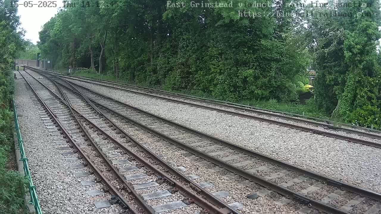 Multiple train tracks diverge through a wooded area on a partly cloudy day.