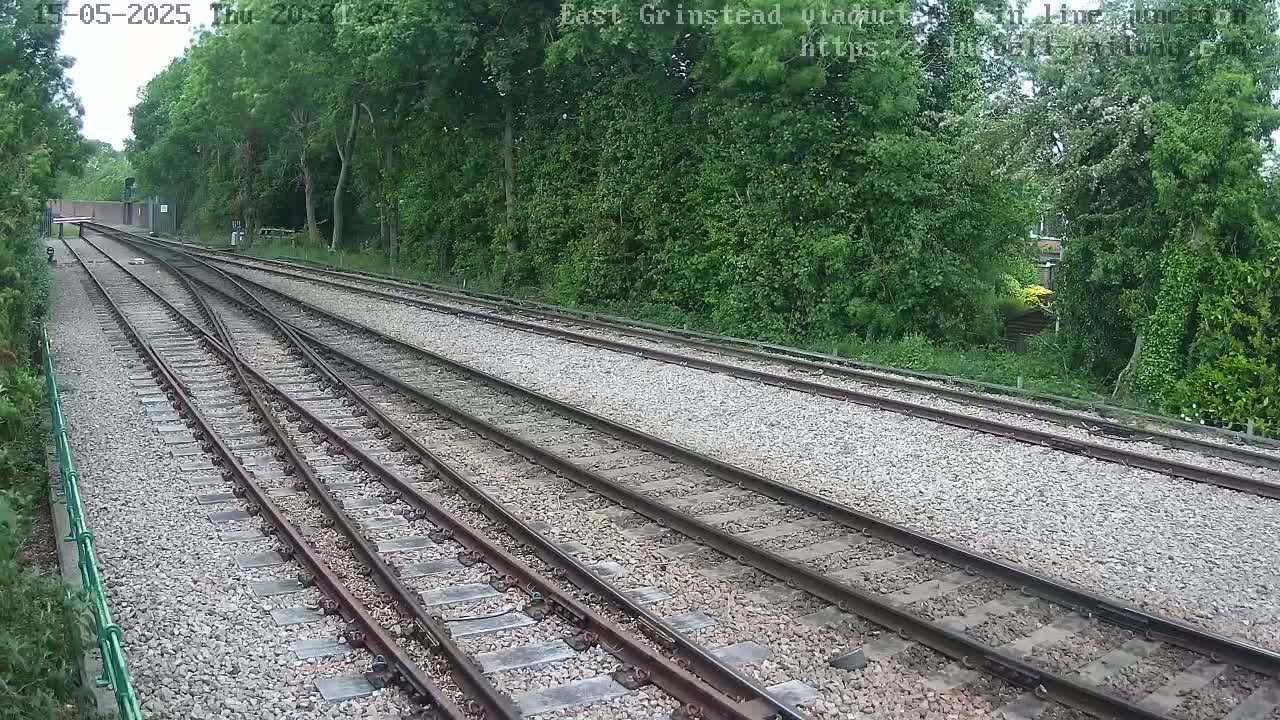 Multiple train tracks diverge through a landscape of lush green trees under an overcast sky.