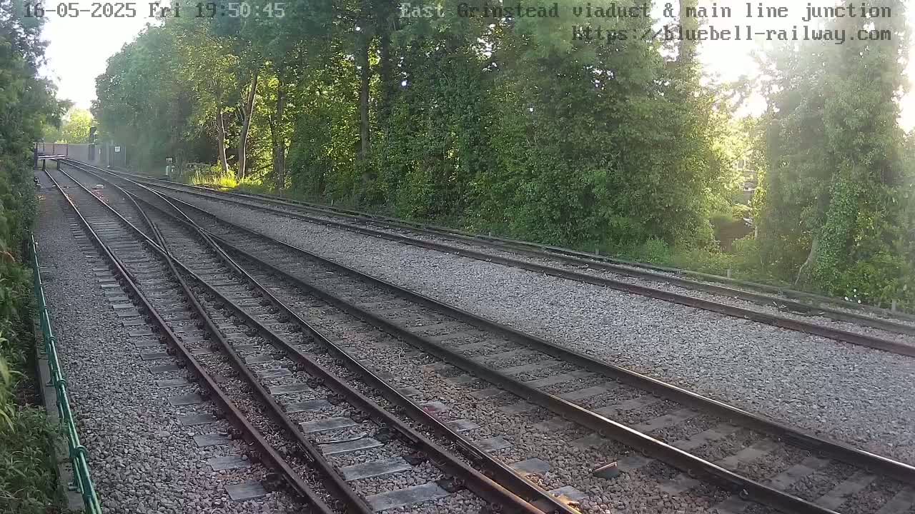 Multiple train tracks diverge amidst lush green trees under a sunny sky.