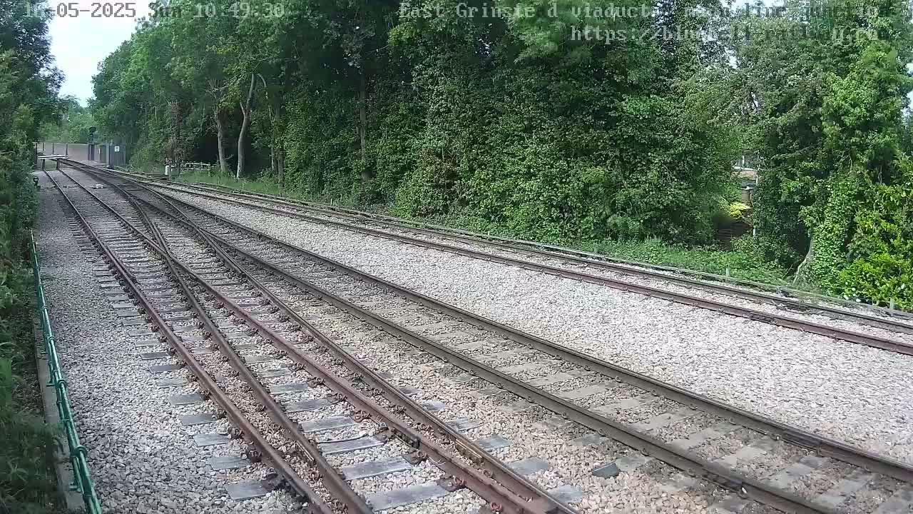 Multiple train tracks diverge through a tree-lined area on a partly sunny day.