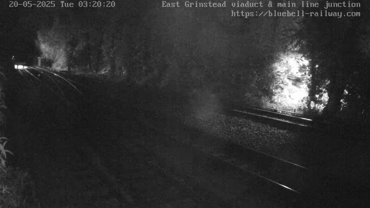 A nighttime low-light view of a train track and surrounding vegetation.