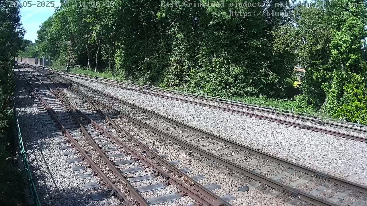 Multiple train tracks wind through a sunny, wooded area.