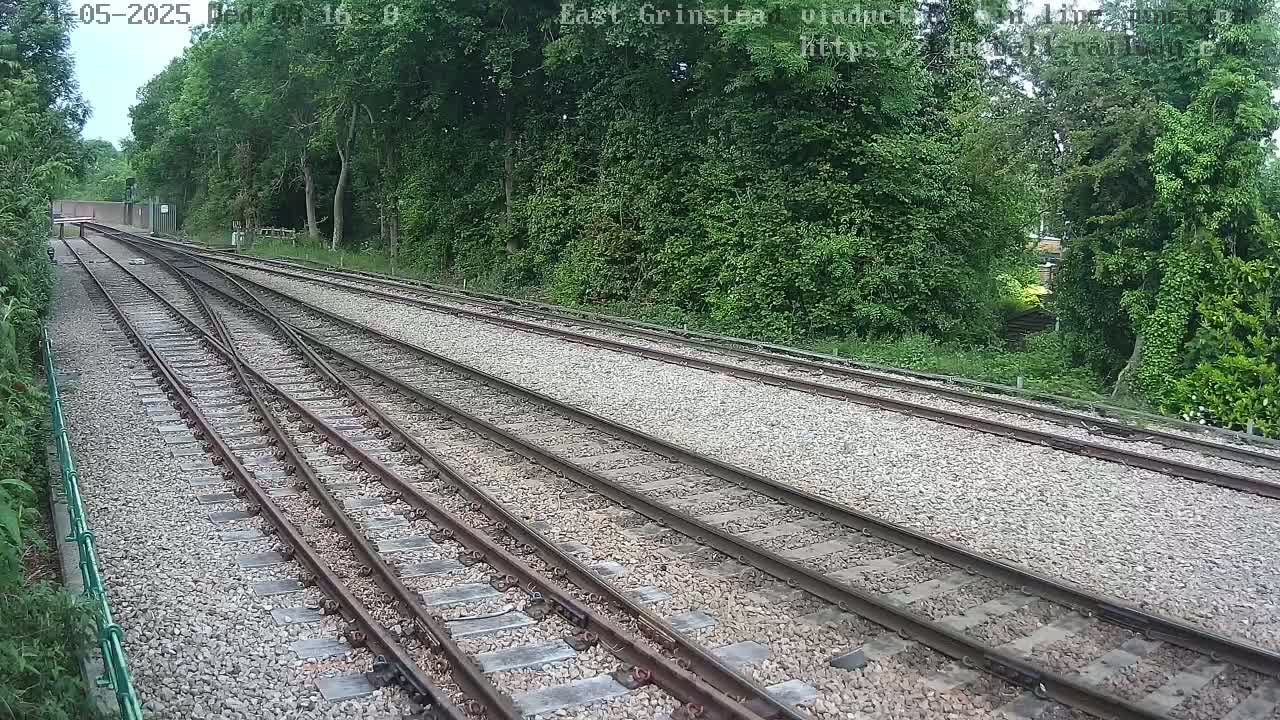 Multiple train tracks diverge through a lush, green wooded area under a partly cloudy sky.