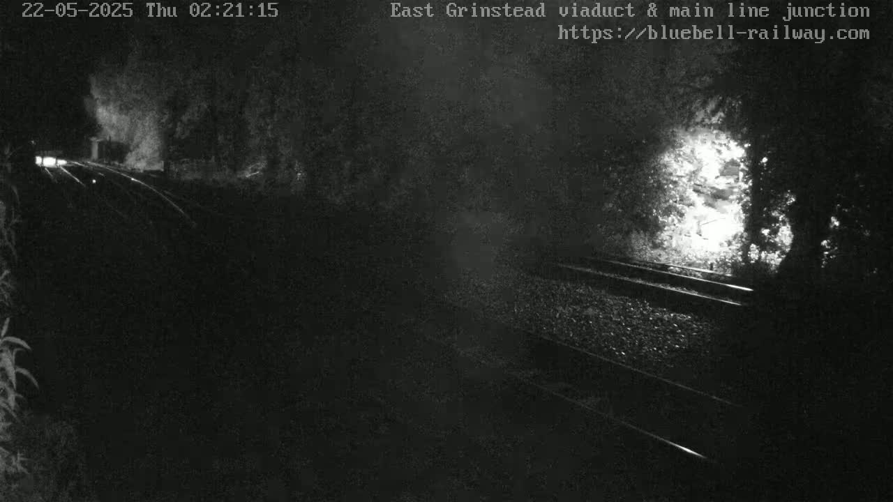 A nighttime, low-light view of railroad tracks, partially obscured by vegetation, with a faint light source visible in the distance.