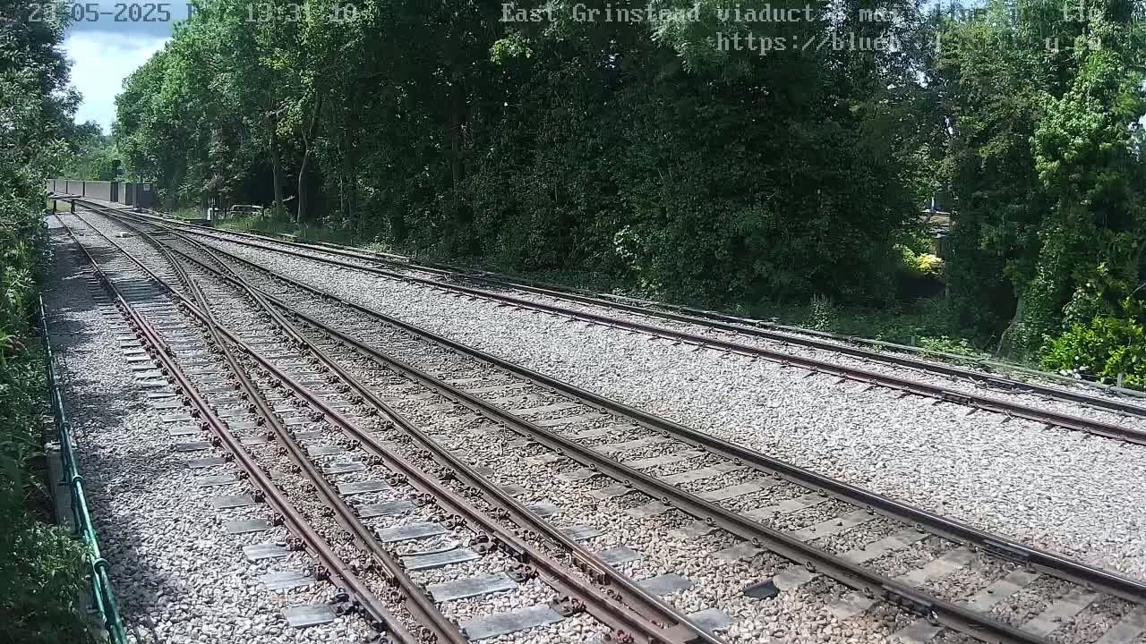 Multiple train tracks diverge through a wooded area on a sunny day.