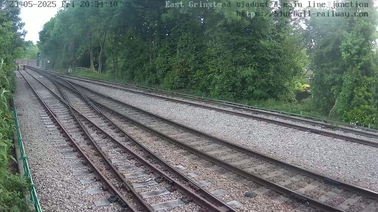Multiple train tracks diverge through a wooded area under a partly cloudy sky.