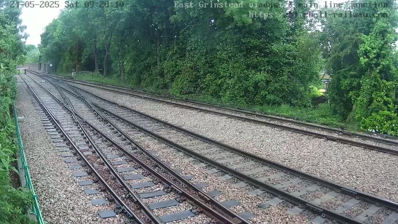 A view of railway tracks splitting into two directions, bordered by lush green vegetation under an overcast sky.