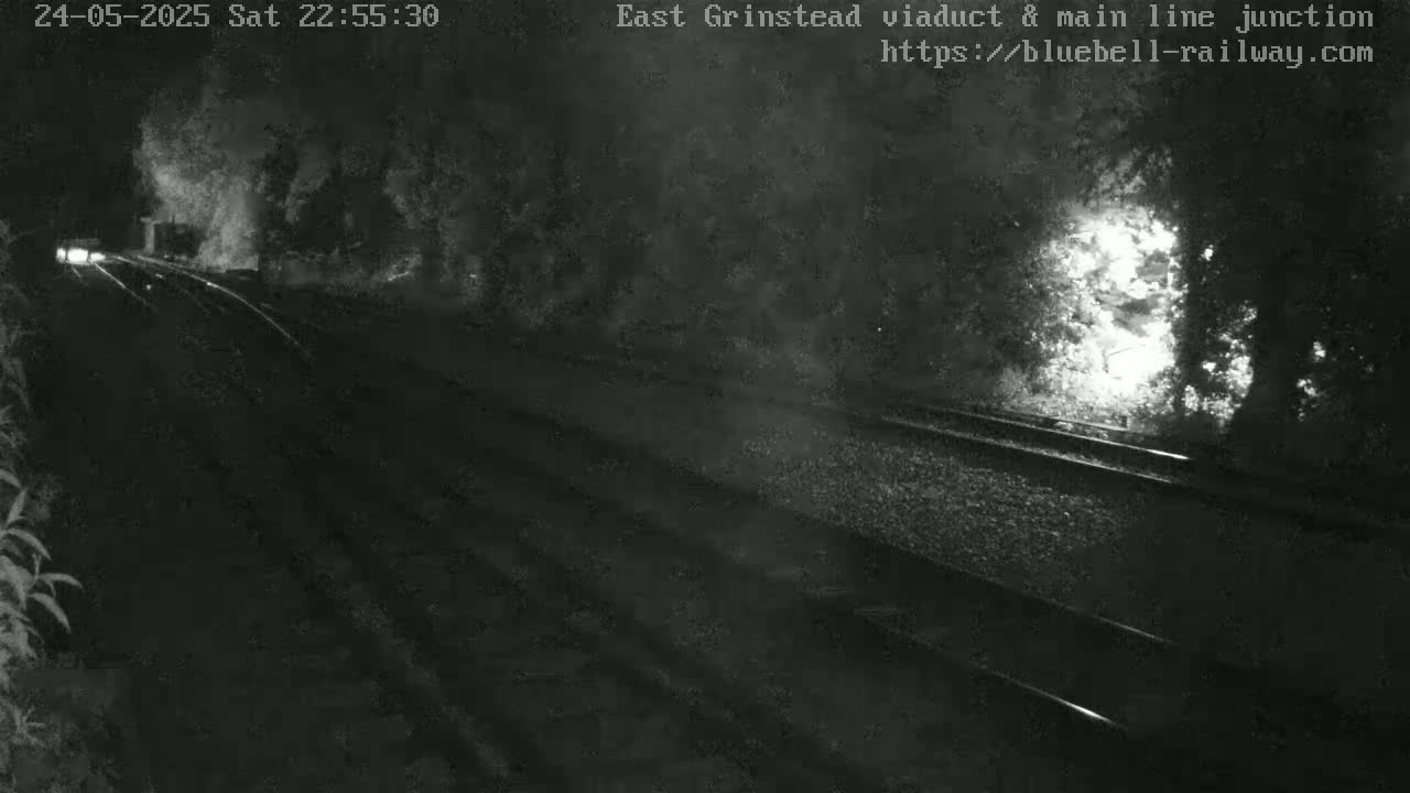 A nighttime, low-light view of a train track winding through dark, tree-lined areas.