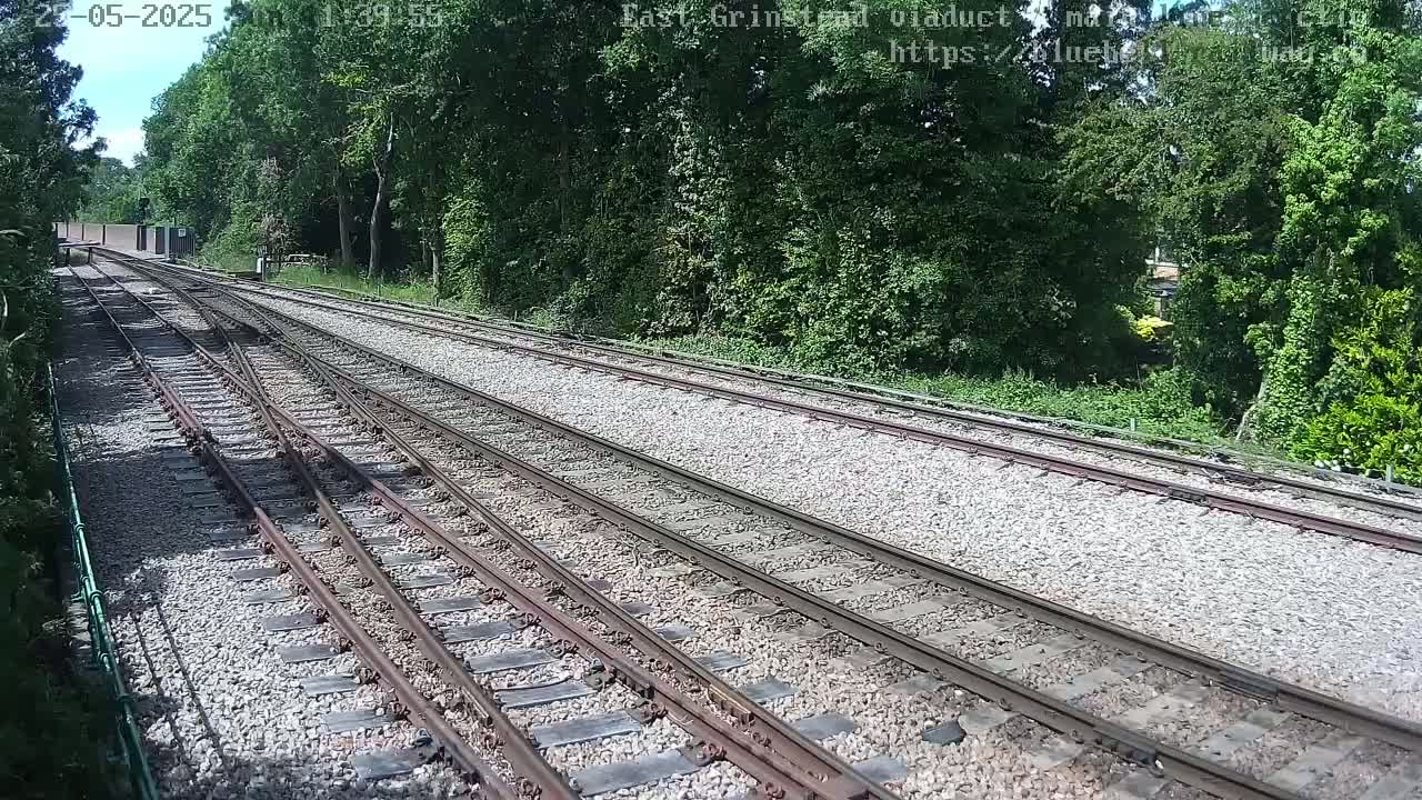 Multiple train tracks wind through a wooded area on a sunny day.