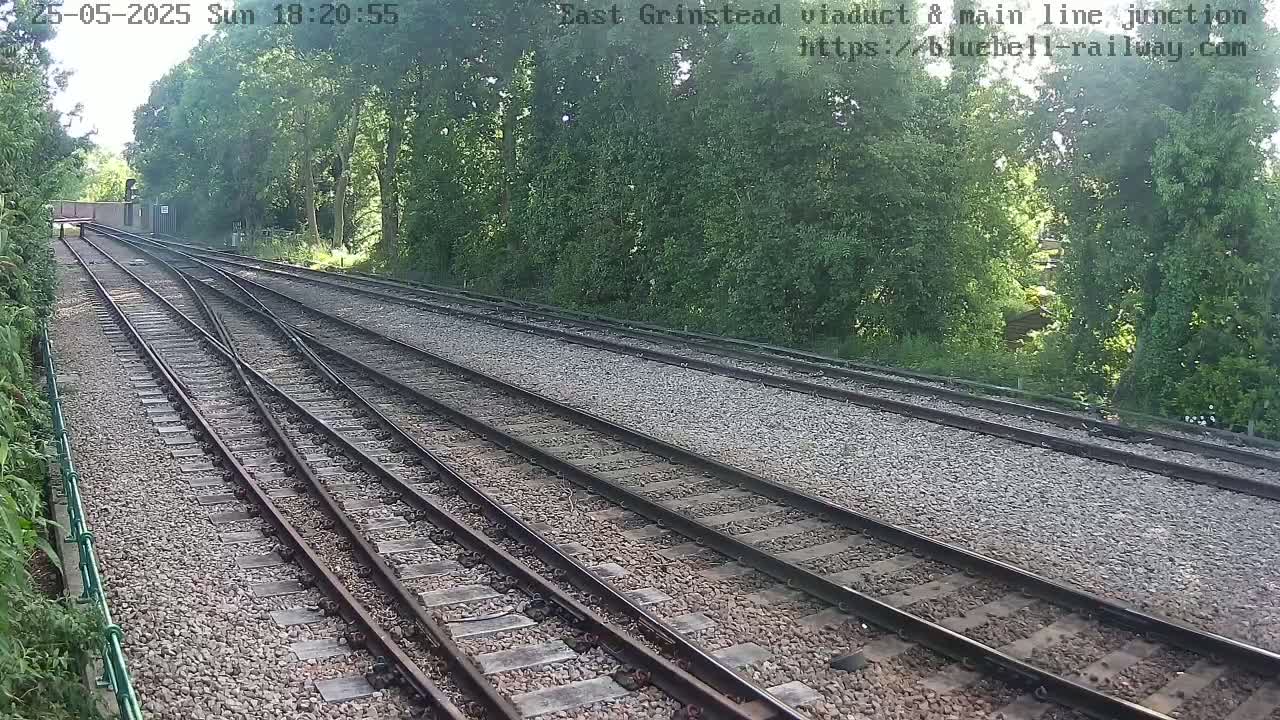 Several railway tracks diverge amidst a sunny, tree-lined landscape.