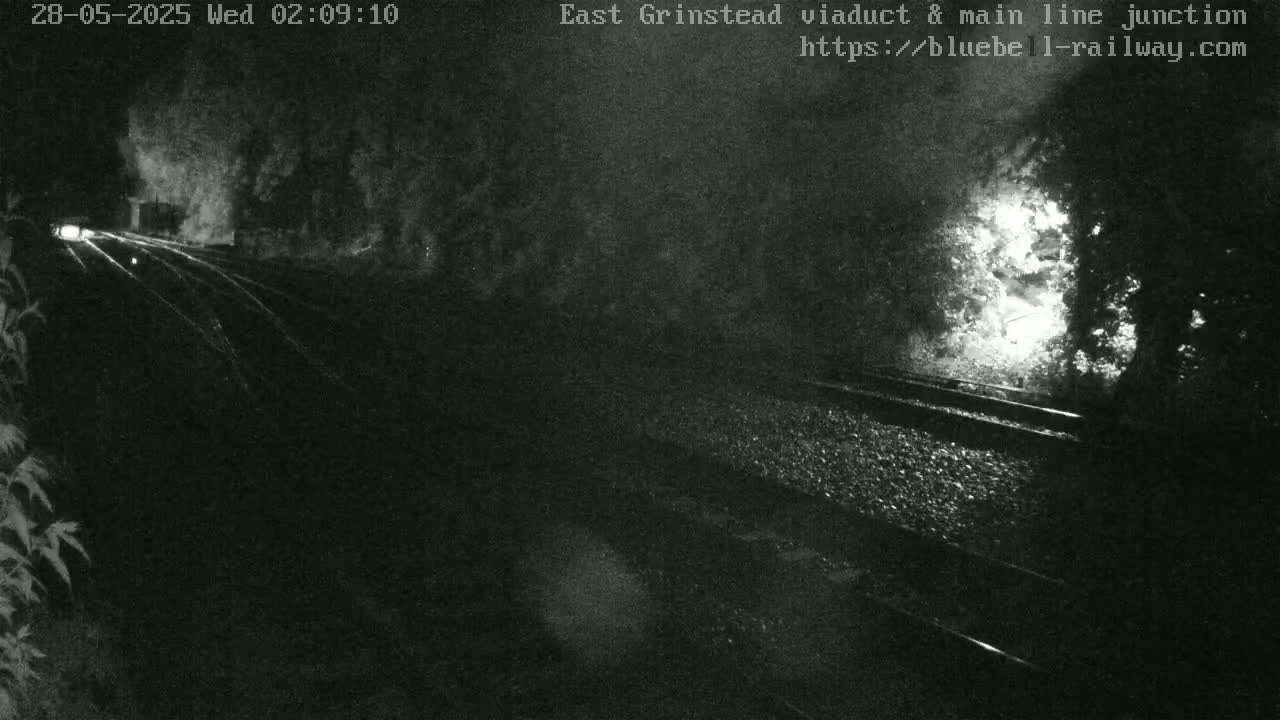 A nighttime view of train tracks surrounded by dark foliage, with a single set of headlights visible in the distance.