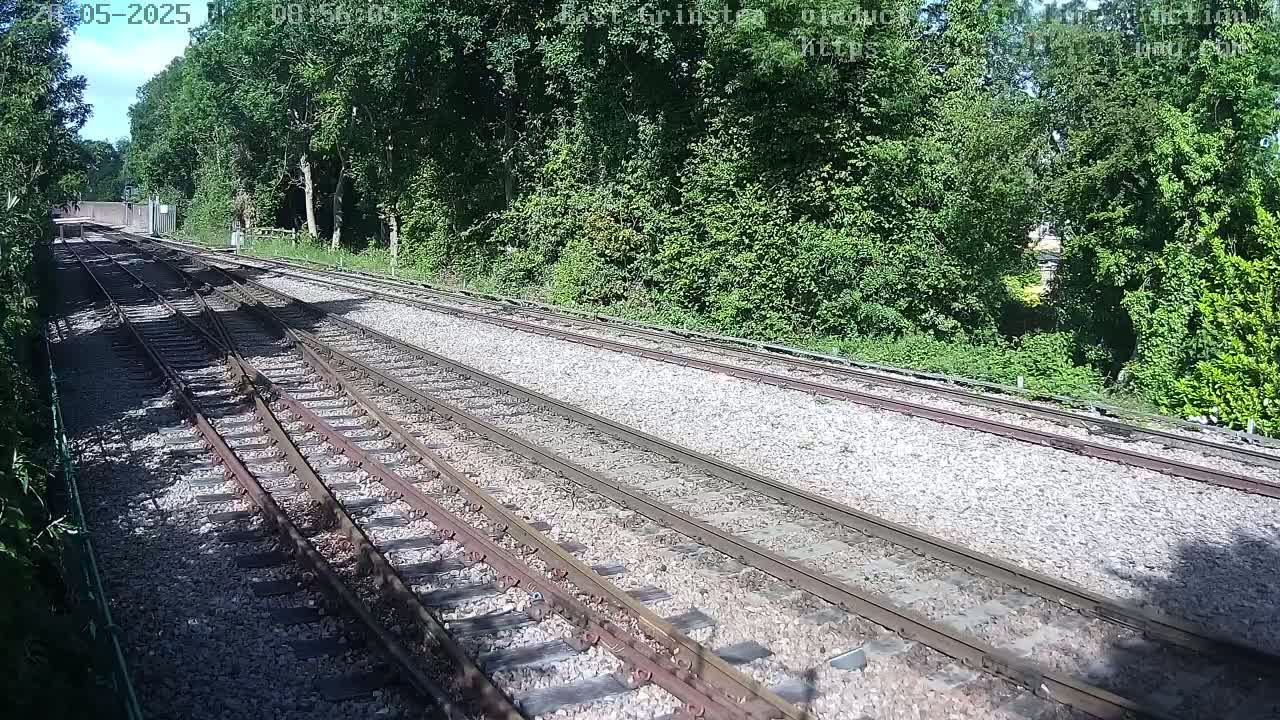 Multiple train tracks extend into a sunny, wooded area.