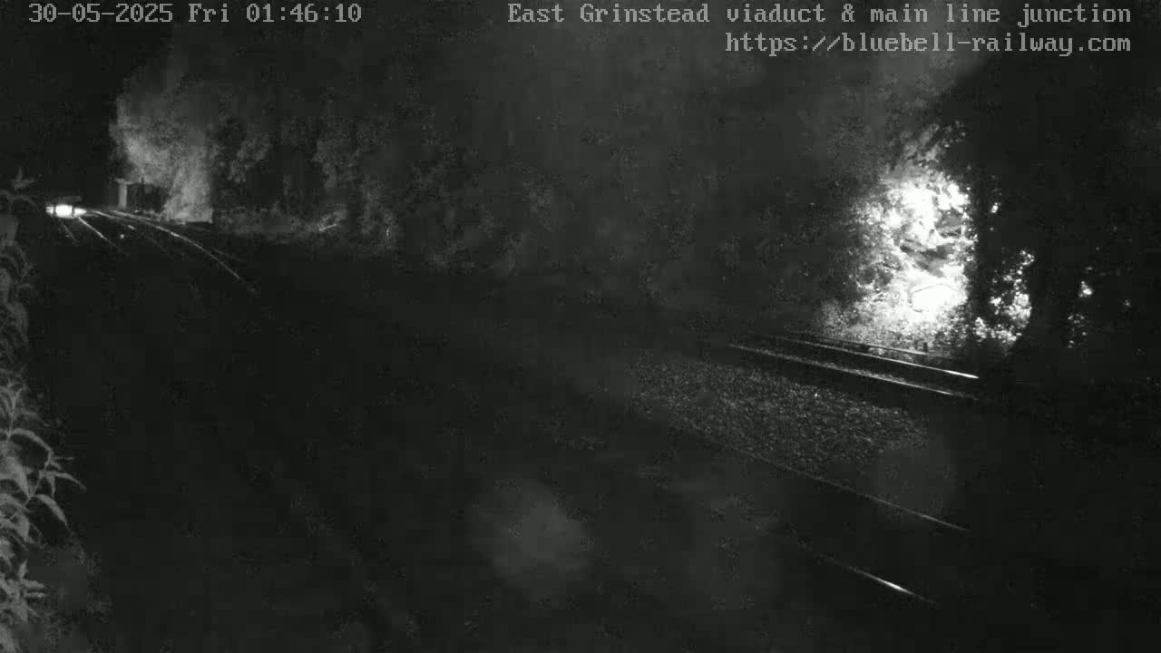 A nighttime, low-light view of railroad tracks and vegetation, possibly wet from rain or dew.