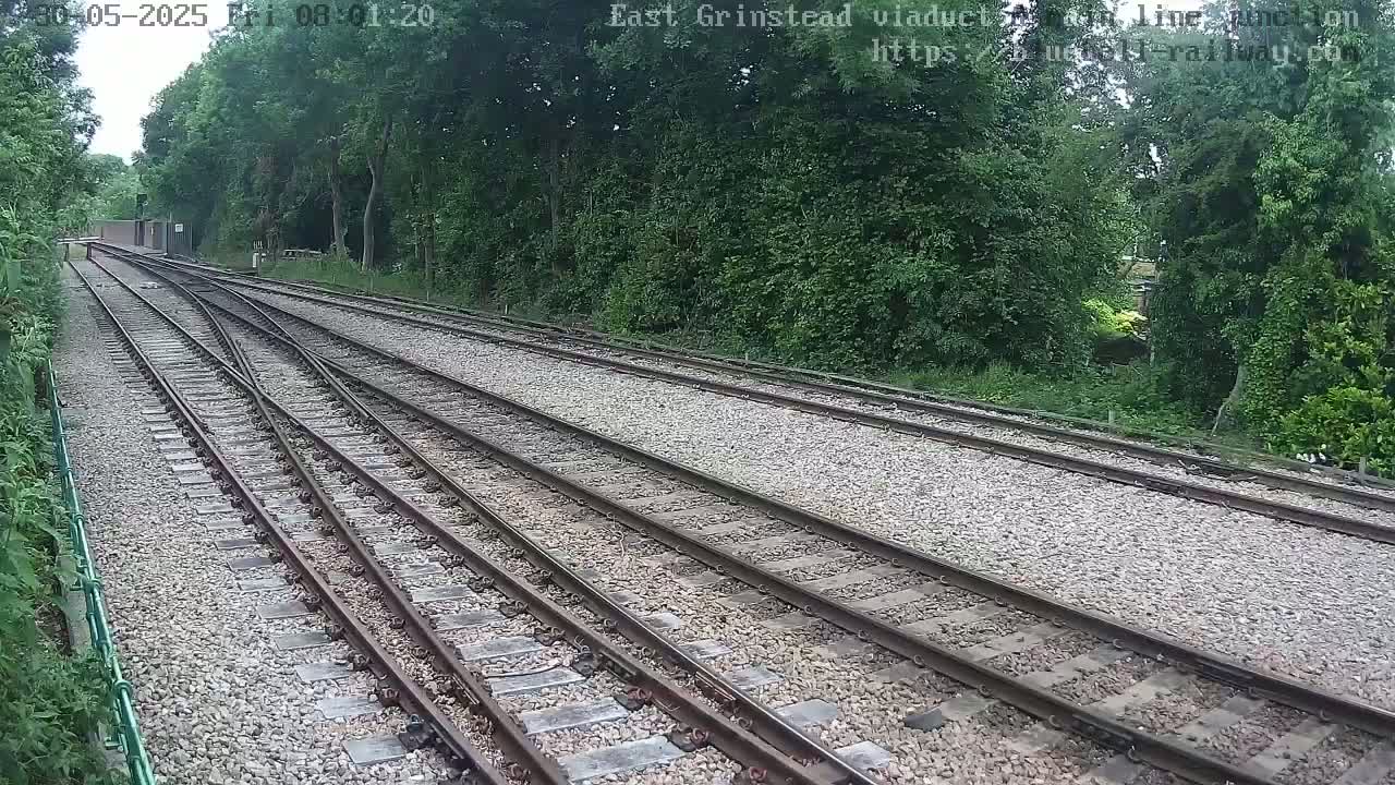 Multiple train tracks diverge from a point, surrounded by lush green trees under a clear sky.