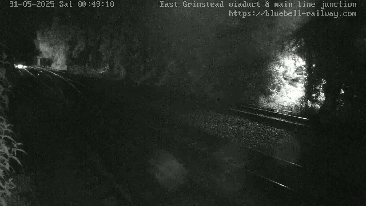 A nighttime, low-light image shows a train track curving through a dark, wooded area.