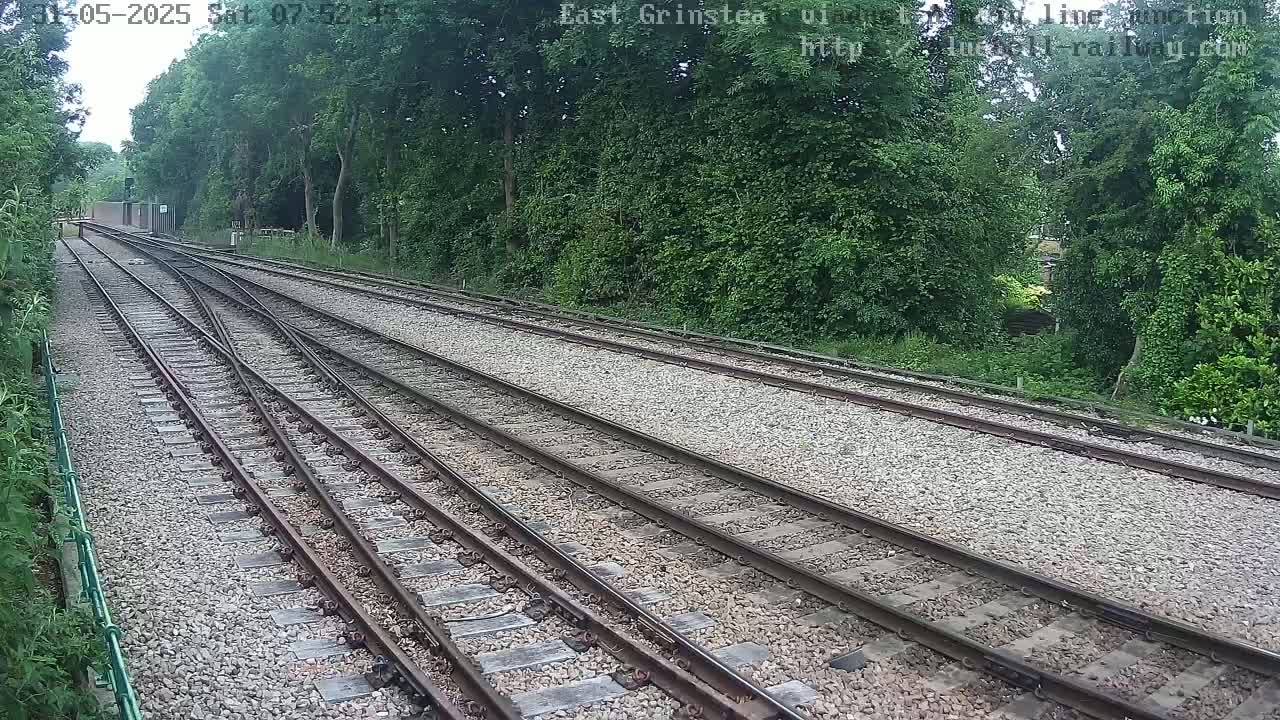 A view of train tracks splitting into multiple paths, bordered by lush green trees on a sunny day.