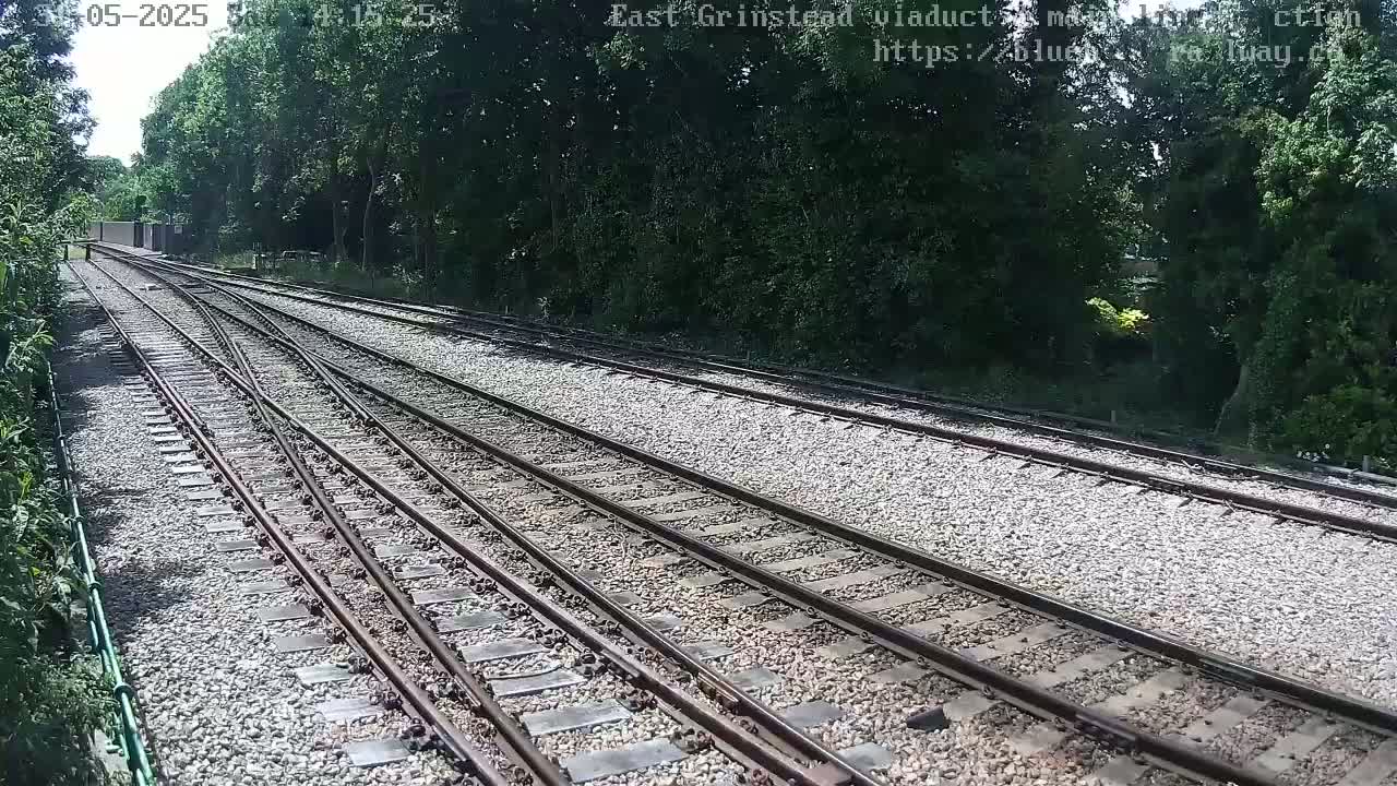 A sunny view of railway tracks splitting into two directions, surrounded by lush green trees.
