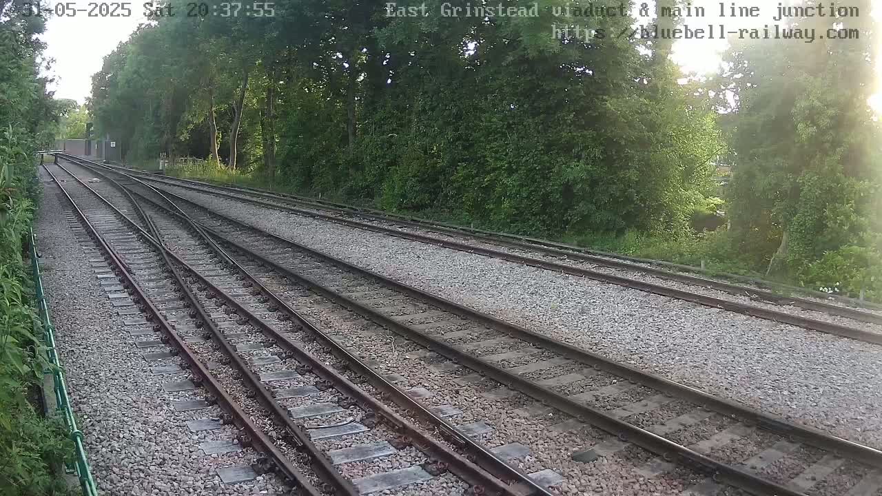 Several train tracks diverge amidst a gravel bed, bordered by lush green trees under a partly sunny sky.