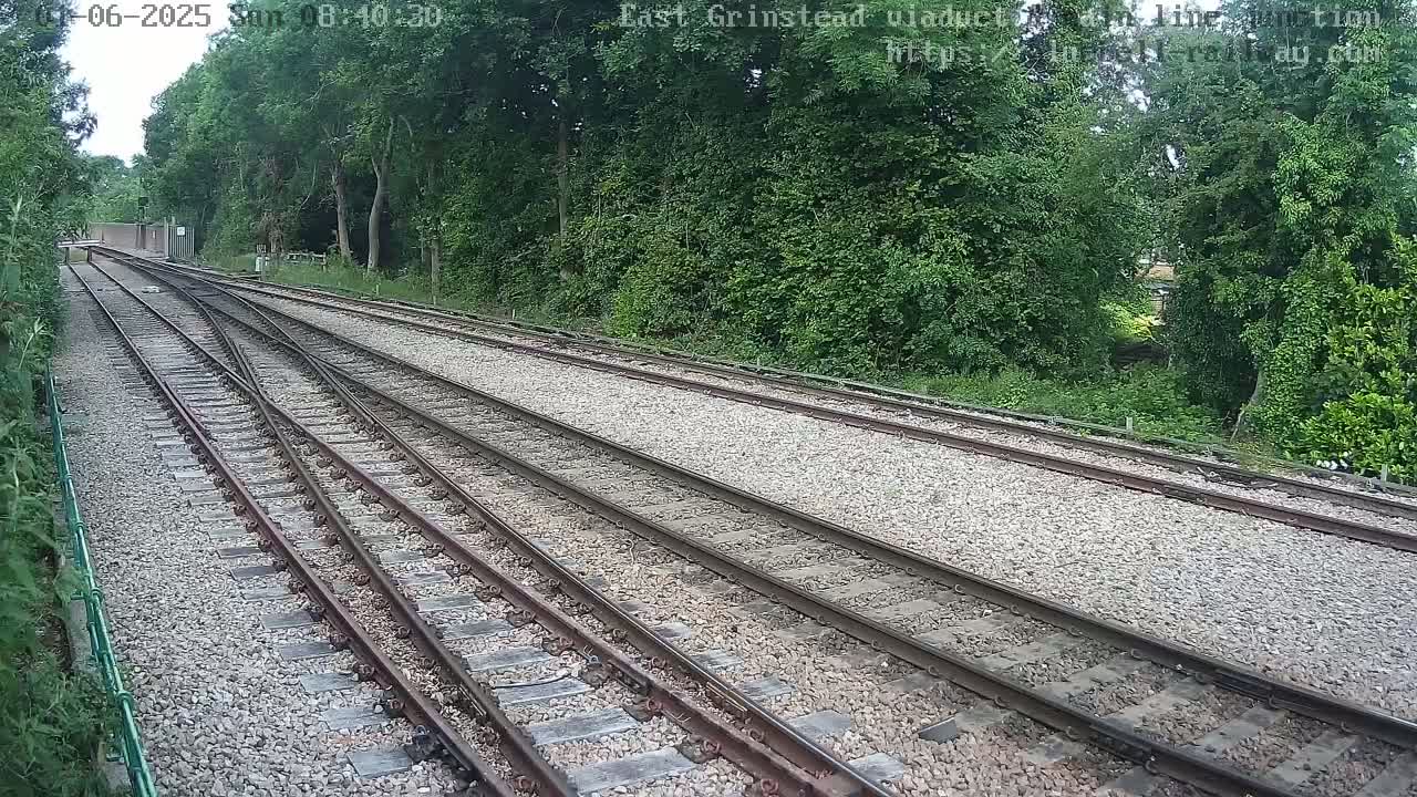 Multiple train tracks diverge through a lush green wooded area on a bright day.
