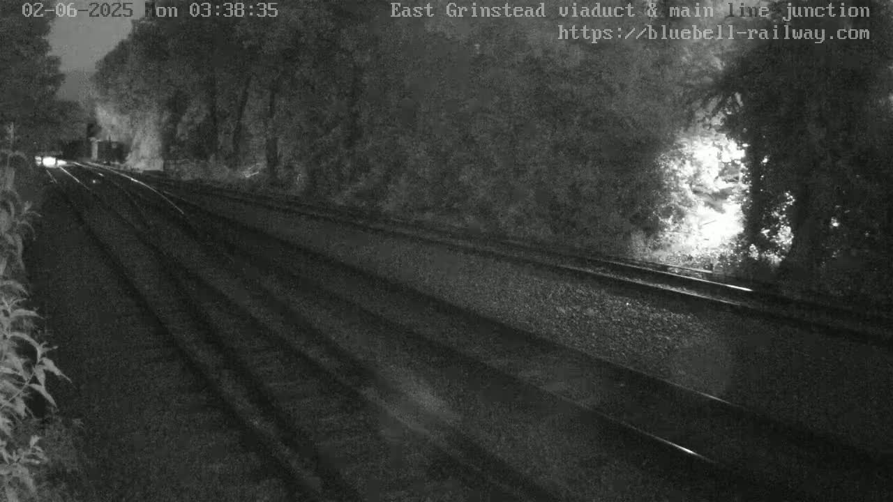 A nighttime view of train tracks receding into a dark, wooded area under a cloudy sky.