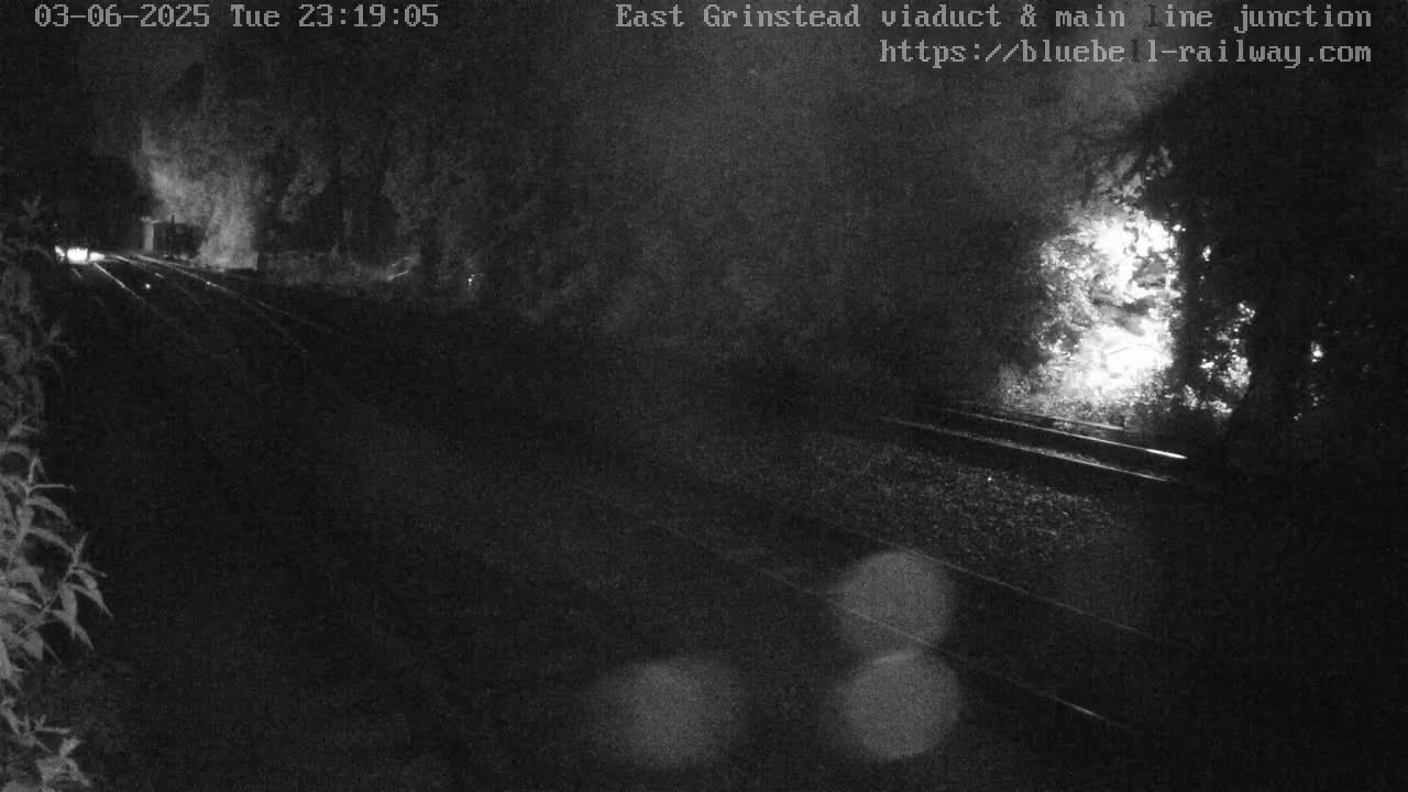 A nighttime, low-light image shows a railway track, partially obscured by vegetation and possibly light fog or smoke, with faint light sources visible in the distance.