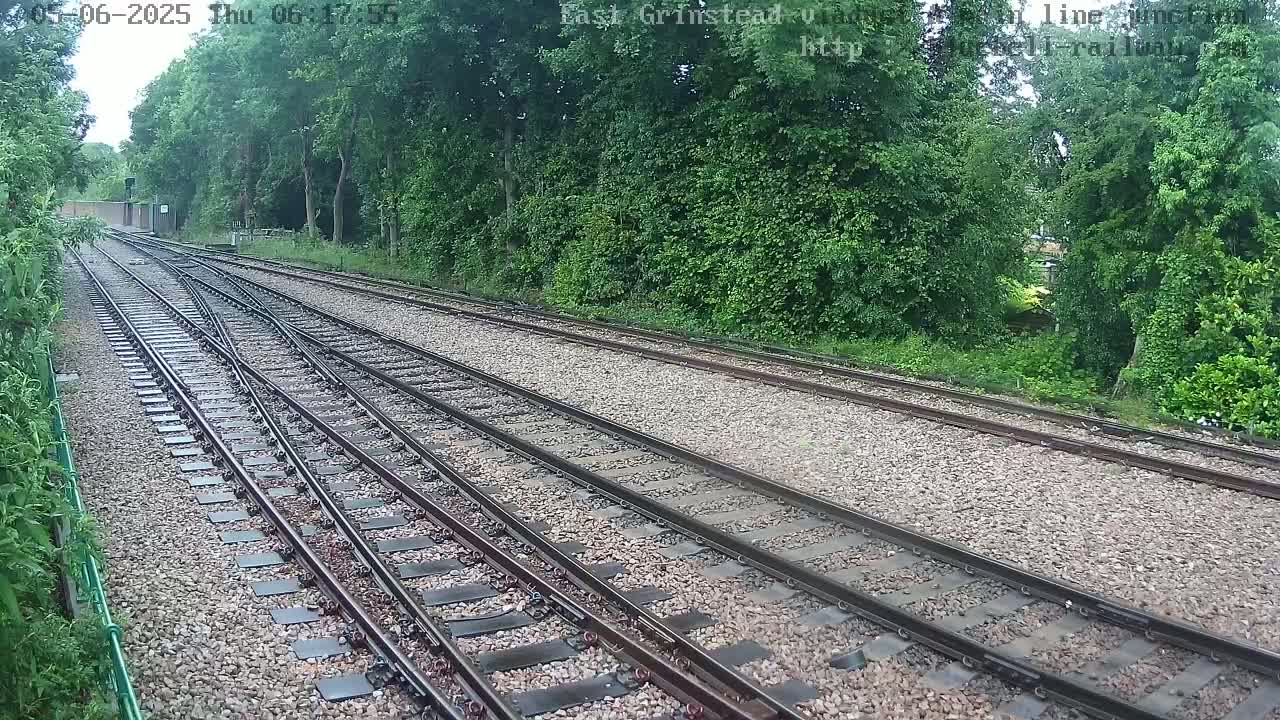 Train tracks diverge through a wooded area on a partly cloudy day.