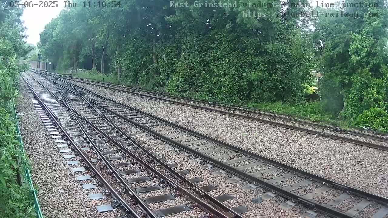Multiple train tracks diverge through a wooded area on an overcast day.