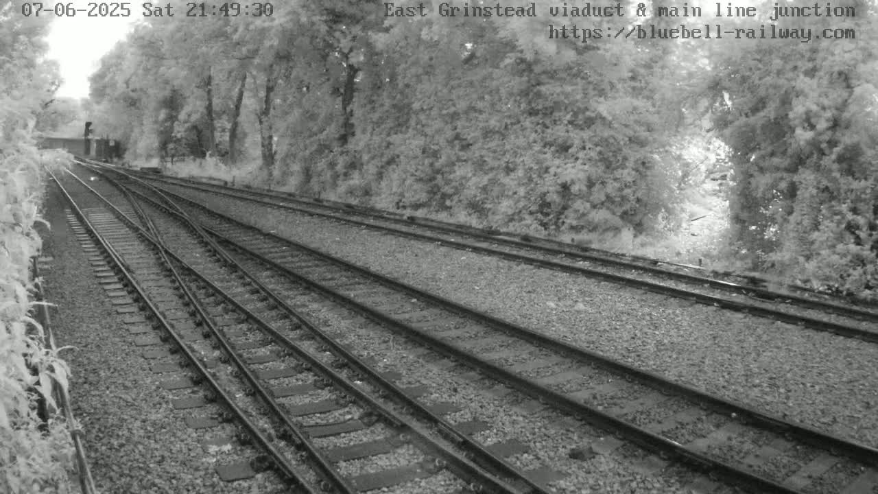 Converging railway tracks wind through a wooded area on a seemingly bright day.