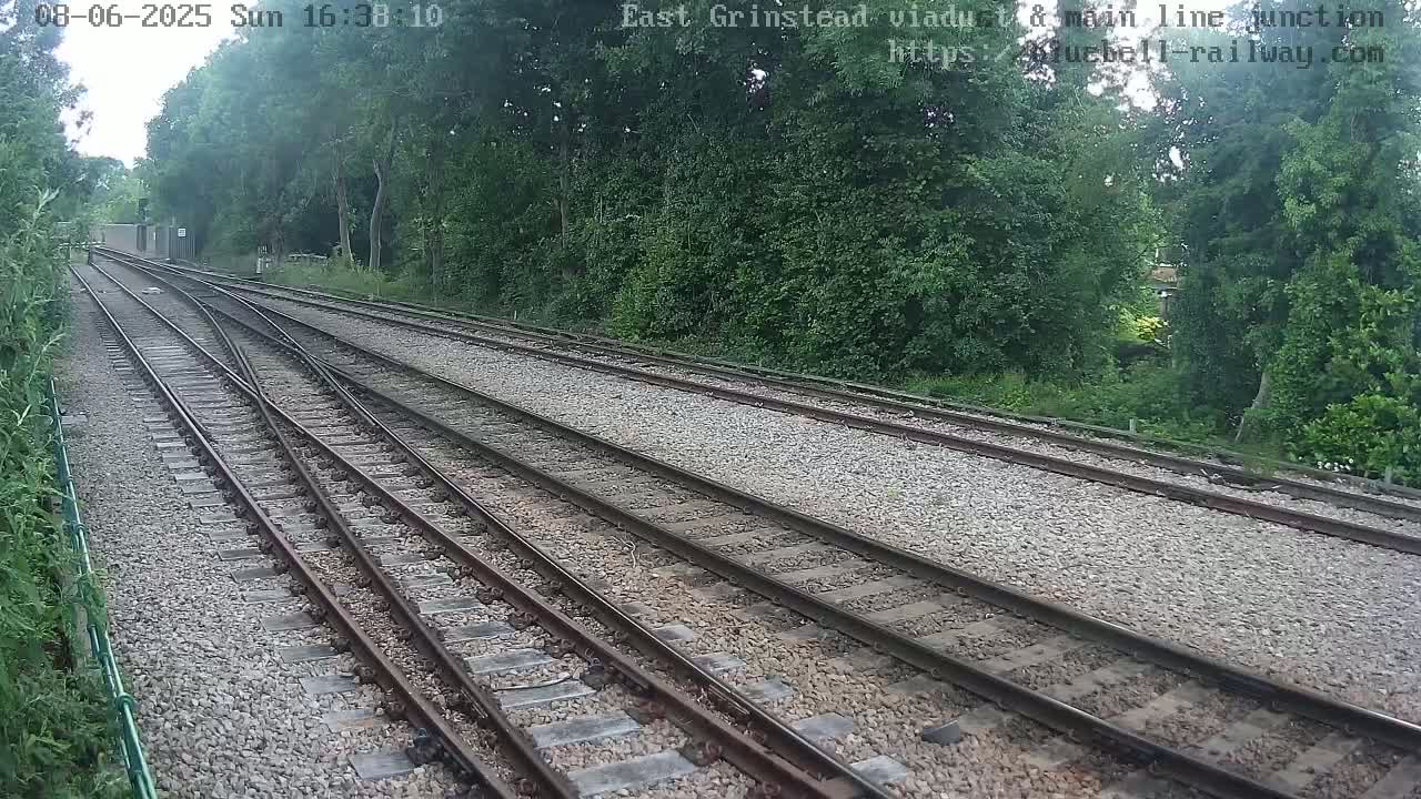 Multiple train tracks diverge amidst a verdant, wooded area under a partly cloudy sky.