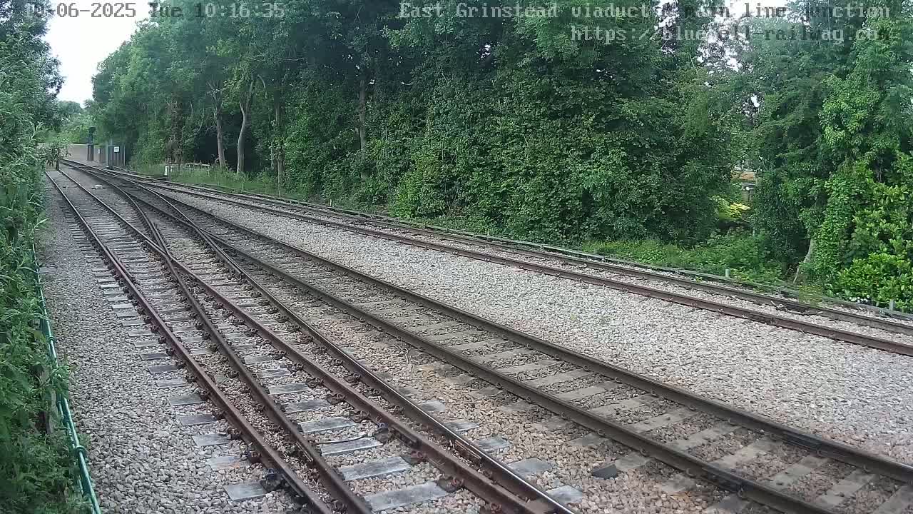 Multiple train tracks diverge through a wooded area on a partly sunny day.