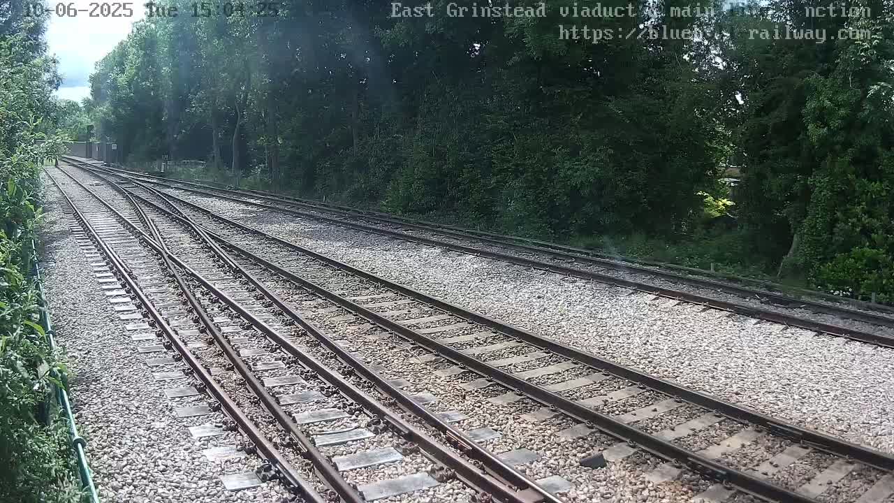 Multiple train tracks diverge through a wooded area on a partly sunny day.