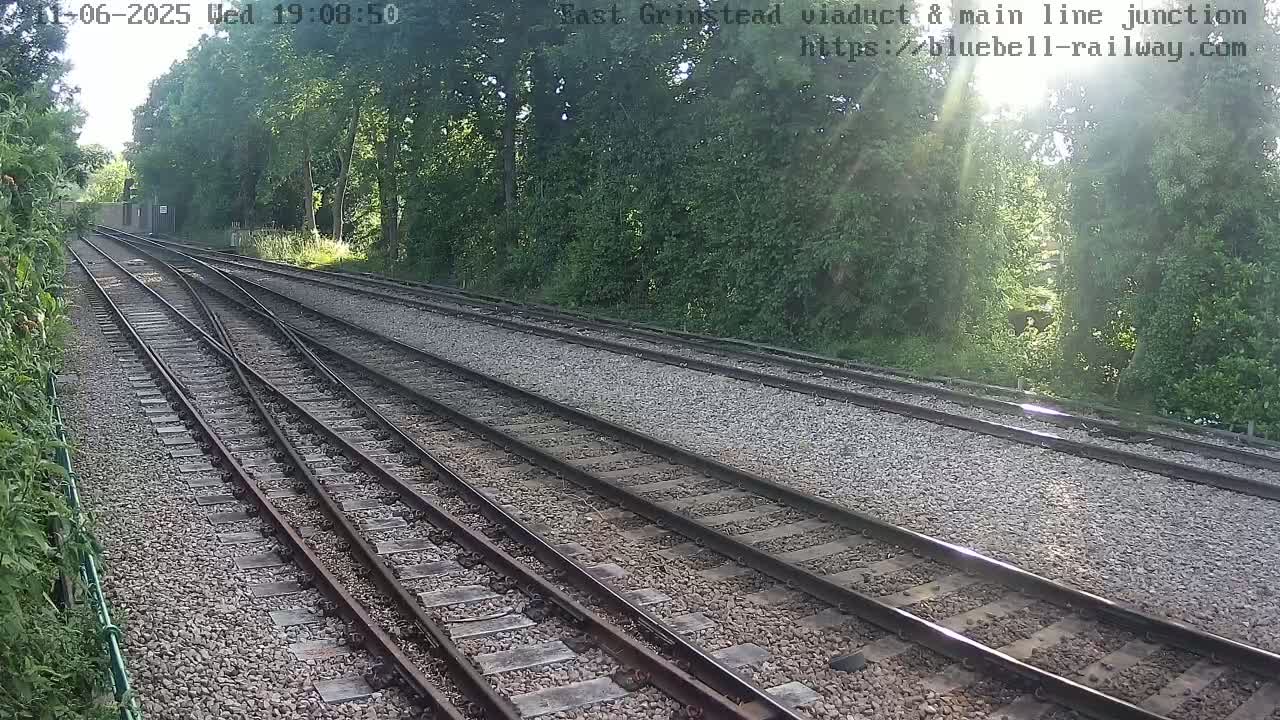 Multiple train tracks converge and diverge amidst sunny conditions and lush green trees.