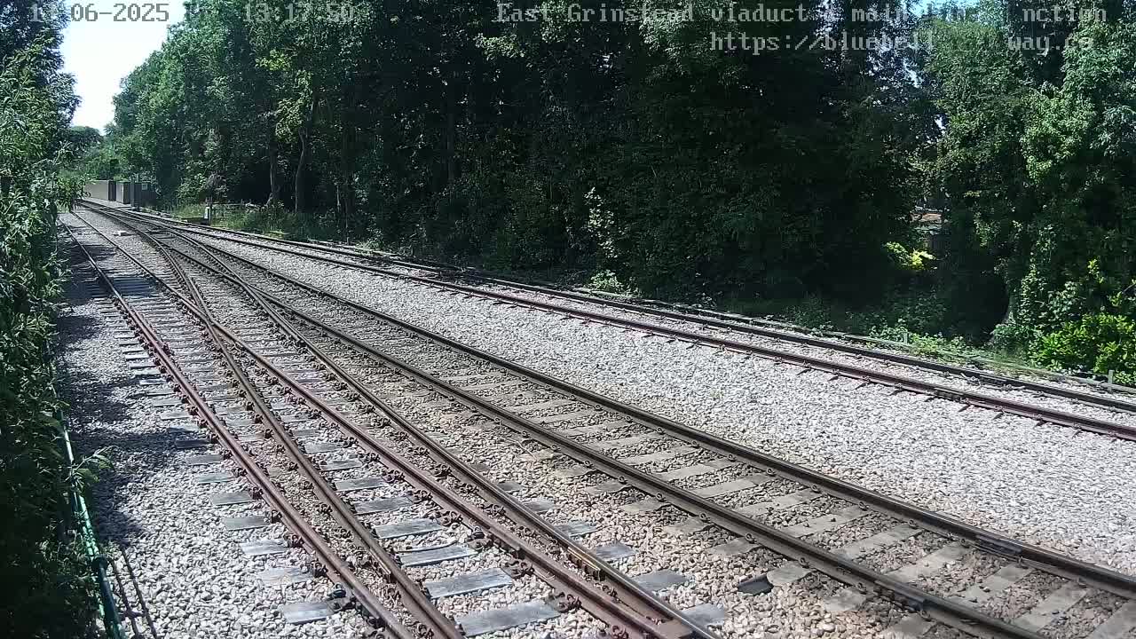 A sunny day shows several sets of train tracks splitting and converging, surrounded by lush green trees.