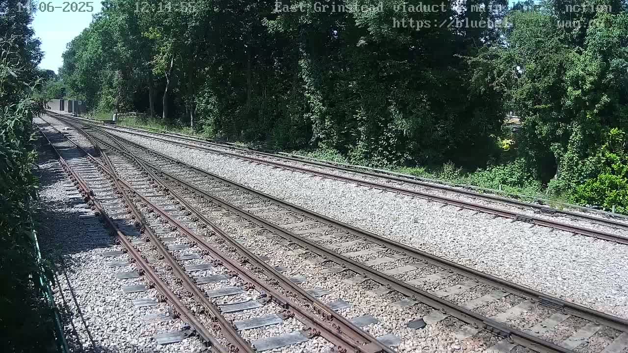Multiple train tracks diverge in a sunny, wooded area.