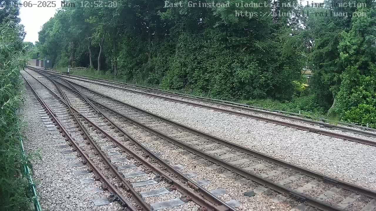 Three sets of train tracks diverge from a point near a lush green wooded area on a partly sunny day.