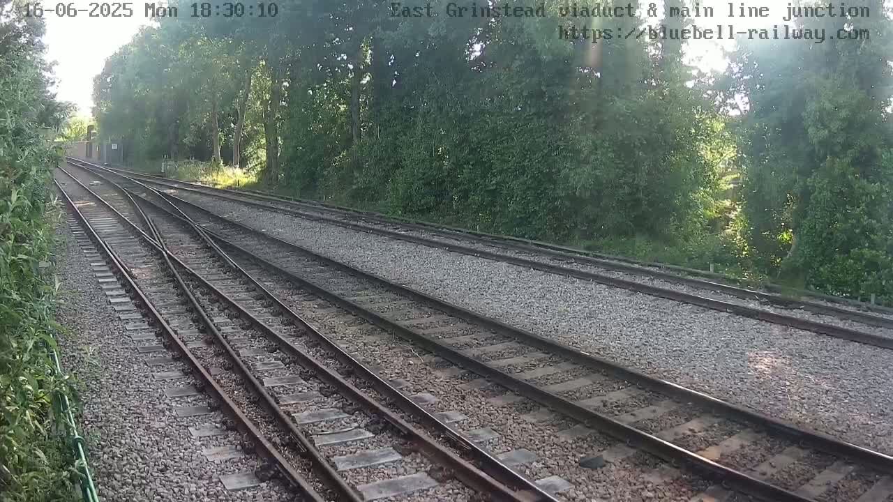 A sunny view of multiple train tracks splitting and converging, surrounded by lush green trees and vegetation.
