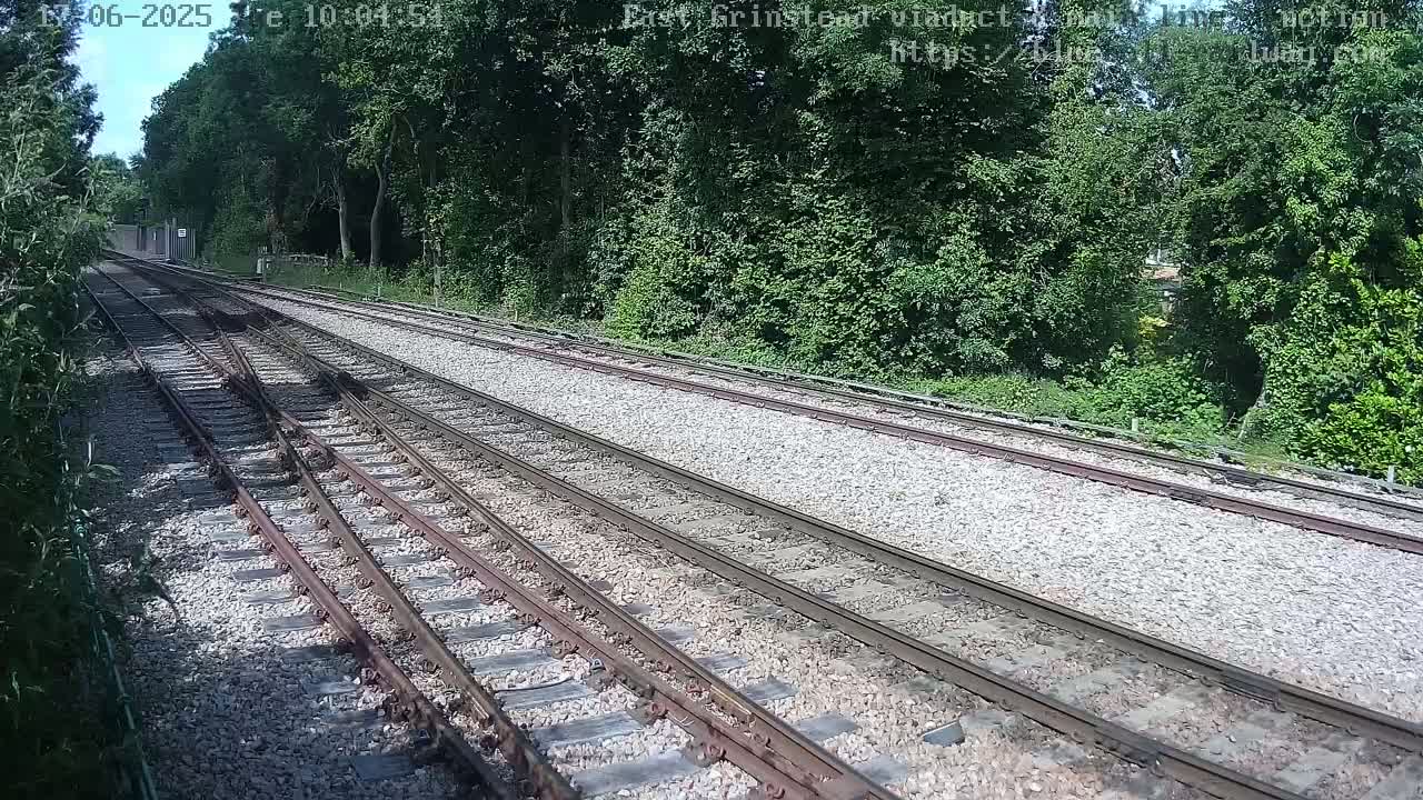 Train tracks diverge through a sunny, wooded area.