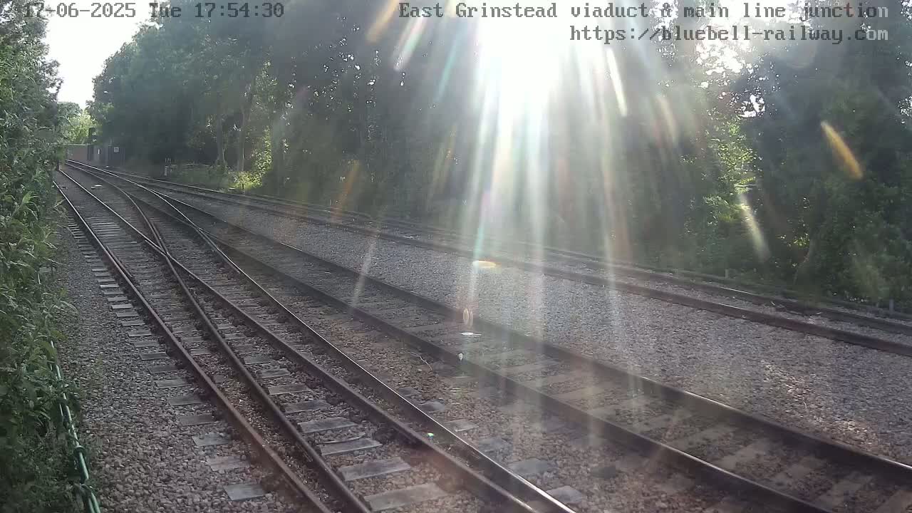 A sunny view of train tracks splitting into two directions, bordered by trees and vegetation.