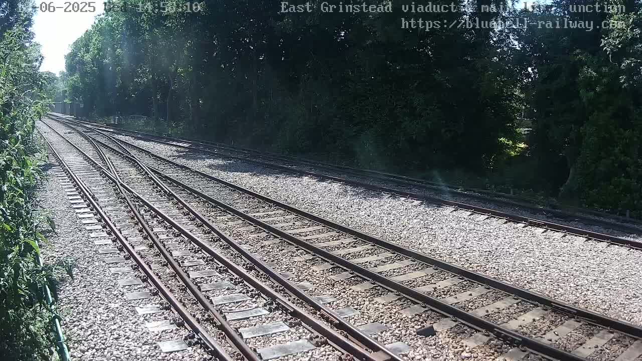 Multiple train tracks diverge through a sunny, wooded area.