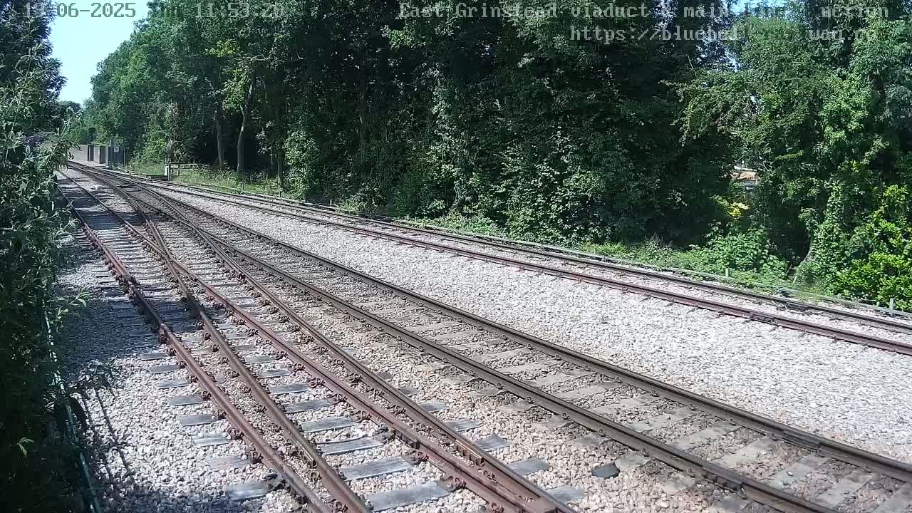 Multiple train tracks diverge through a sunny, wooded area.