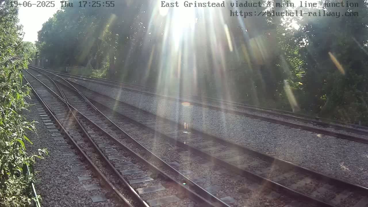Sunbeams shine through trees onto a railway junction with multiple train tracks.