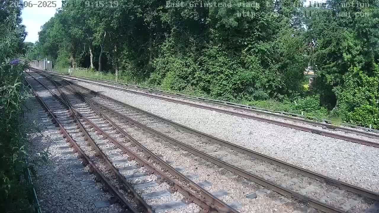 Multiple train tracks diverge through a lush green landscape on a sunny day.