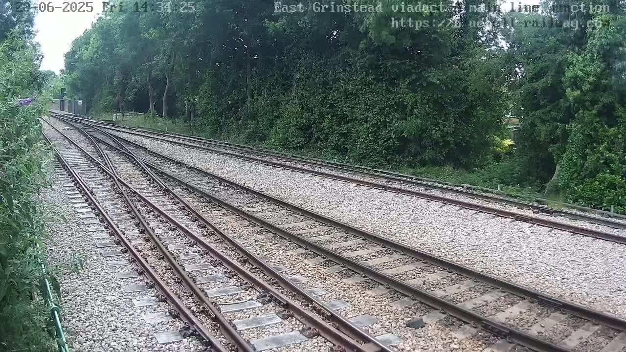 Multiple train tracks diverge through a tree-lined area on a partly sunny day.