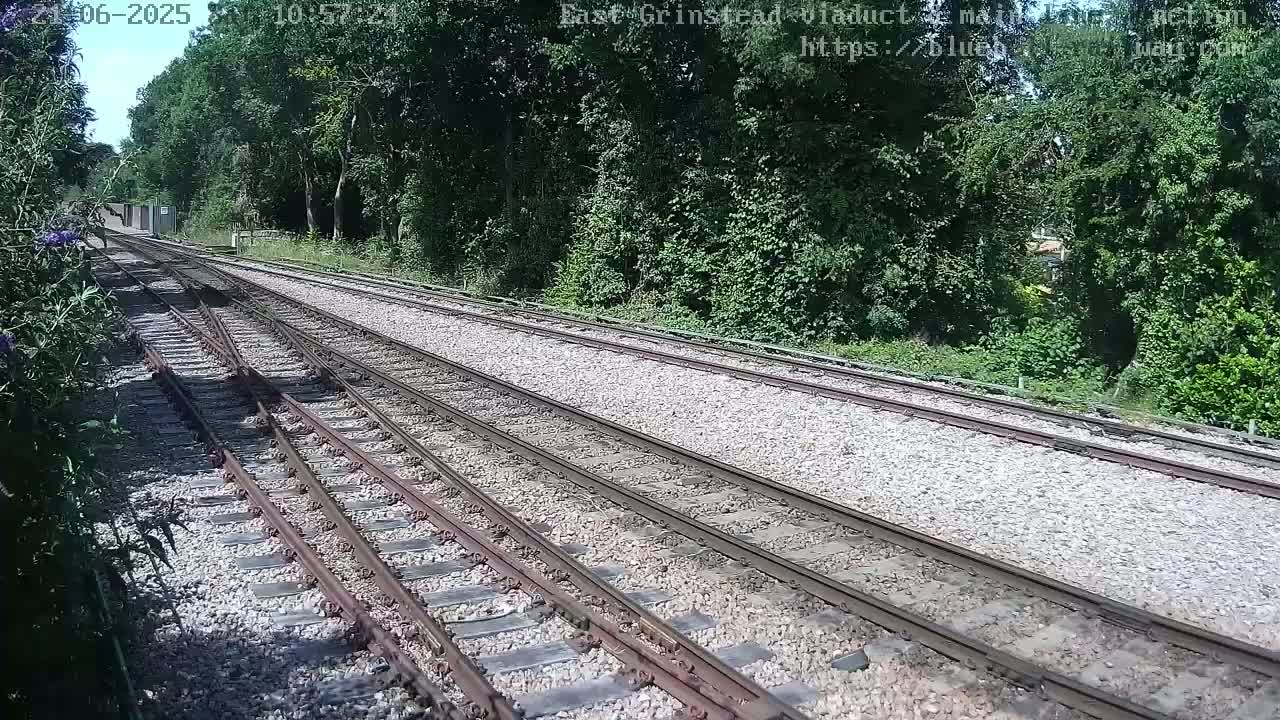 A sunny view of a railway track splitting into several directions, surrounded by lush green trees.