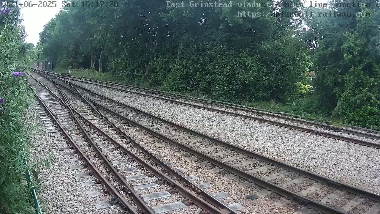 Multiple train tracks diverge amidst a gravel pathway, bordered by lush green trees under a seemingly clear sky.